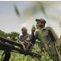 KROFF ZDRU�ENEGA BOJA PROTI DROGAM