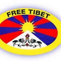 KROFF KITAJSKEGA PRISPEVKA K SVETOVNEMU MIRU