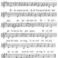 7. KITICA IN HIMNI�NI KrOFF