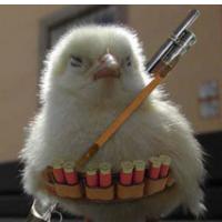 KROFF JANKOVI�EVEGA PORAZA