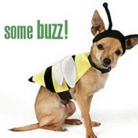 KrOFF SPORO�IL ZA JAVNOST