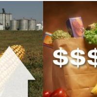 KAJ SE SKRIVA ZA PODRA�ITVAMI OSNOVNIH �IVILSKIH SUROVIN?