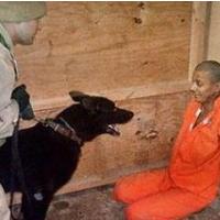 ZAPORNIKI IZ GUANTANAMA V KLOB�I�U INTERESOV