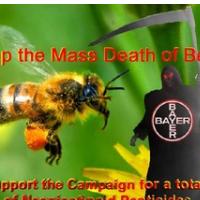 O PESTICIDIH IN MRTVIH �EBELAH