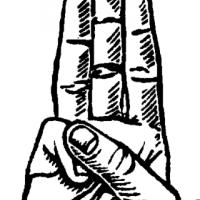  V PRI�AKOVANJU IZPOLNJEVANJA OBLJUB