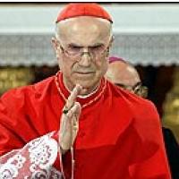 HOMOSEKSUALEC NI ENAKO PEDOFIL