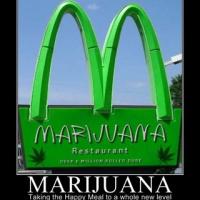 BritOFF VESELIH KOSILC