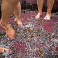 BritOFF ARMENSKEGA VINA