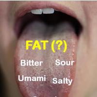 BritOFF �estega okusa