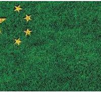 BritOFF ZELENE KITAJSKE