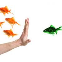 �NEURADNI LIST � LETNIK 4, �TEVILKA 10�