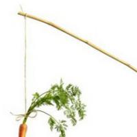 LETNIK 5, �TEVILKA 9