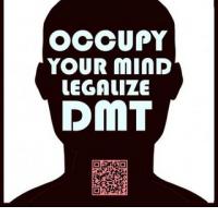 OCCUPY YOUR MIND