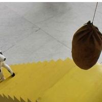 Lorenzo Chiesa - o pou�evanu in univerzitetnem diskurzu