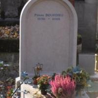 DPU poro�ilo - Magdalena Stanimirovi�