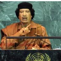 OFF PROTESTOV, STAVK, SPRENEVEDANJA