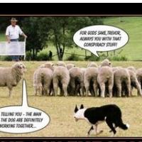 OFF KOLONIALNIH ZAROT