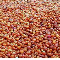 OFF KORUPCIJE, KI PREHAJA V MORALNO AVTORITETO