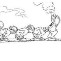 OFF KADILSKE PRAKSE EVROPOLITIKOV  