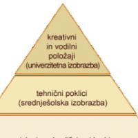 TRG DELA BREZ JELA 