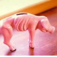 BOJ NA DAV�NEM PO�IRALNIKU 