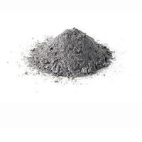 PEPELNIČNA SREDA ZA DOMAČO POLITIKO