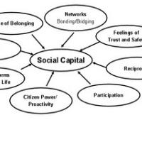 POLITI�NA PRIVATIZACIJA POSAMEZNIKOVEGA SOCIALNEGA KAPITALA 