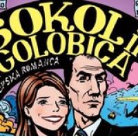  Sokol in golubica