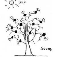 Solarna simbioza med drevesom in ptico