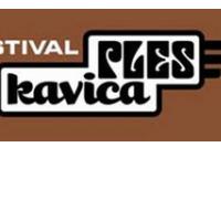 Pleskavica: A tipien festivalski format?