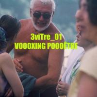 3viTre! voooxing poooêtre! 1982! kostelanetz, radovanovic, orsatti