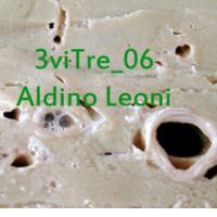 3viTre! aldino leoni 1991!