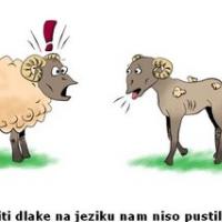 Evropski delovni �tudent