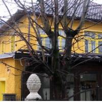 Gostilna Katrca ali pred jedjo si umij roke