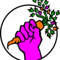 �tudentska kuhinja malo druga�e