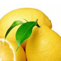 Malo bolj kisle limone
