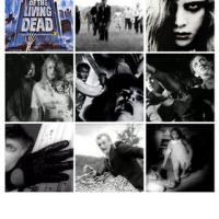 Reformatorsko izjavni zombijevski infoblok