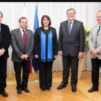 Infoblok v asu zmrznjenih kislih kumaric