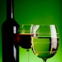 Vino Veritas: Utrinki z delavnice kulture pitja vina