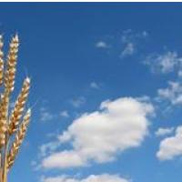 Jutra so lahko tudi tak�na.