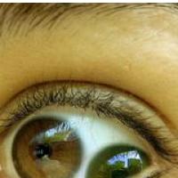 SREDA VAS NE SPREGLEDA