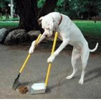 JUTRANJE OSREDOTO�ANJE