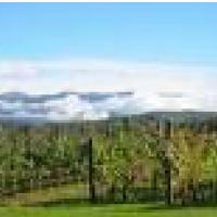 Torek, to je dan potem