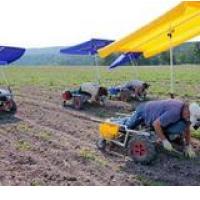 NE BLEDA NE VSEVEDA SREDA