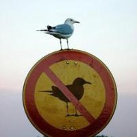 IZZIVALNO NASTROJENA SREDA