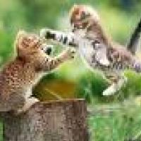 TOREK ZJUTRAJ, ZATO NE OBUPAJ