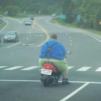 Obilni �etrtkov jutranji program