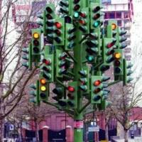 Torkov jutranjc vedno najde pot...