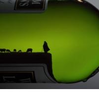 TORKOVA JUTRANJA ODISEJA