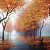 SOLO,DUO,TRIO ... DOBRO JUTRO